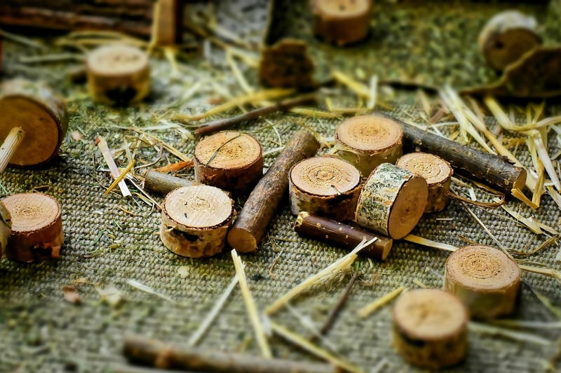Birch Bark Vases
